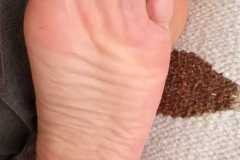 IMG-20250819-WA0057