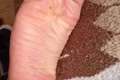 IMG-20250819-WA0060