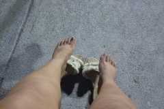 IMG-20250826-WA0181