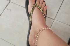 IMG-20250830-WA0006
